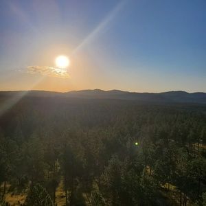 Meet your Posher, Ana